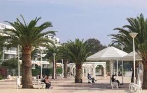 RASSEMBLEMENT Souvenir ANDREI KIVILEF